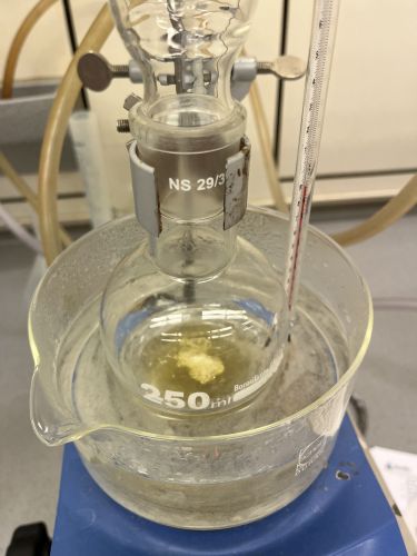 Landesseminar der internationalen Chemie Olympiade (IChO)