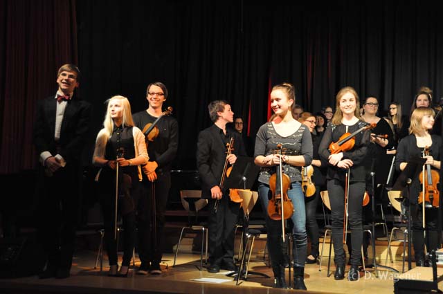 konzert_musik_lk_2014_24.jpg
