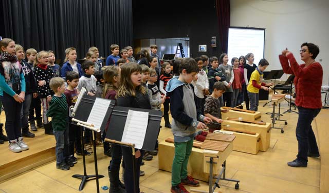 schulen_musizieren_2015_14.jpg
