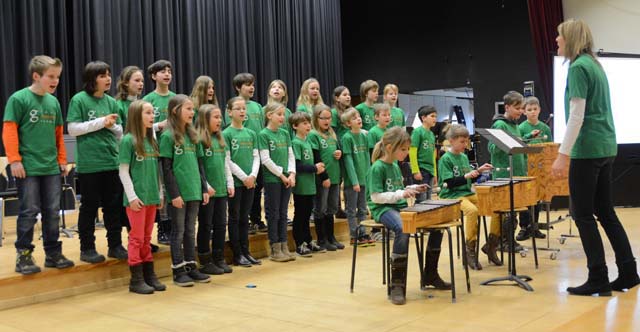 schulen_musizieren_2015_22.jpg